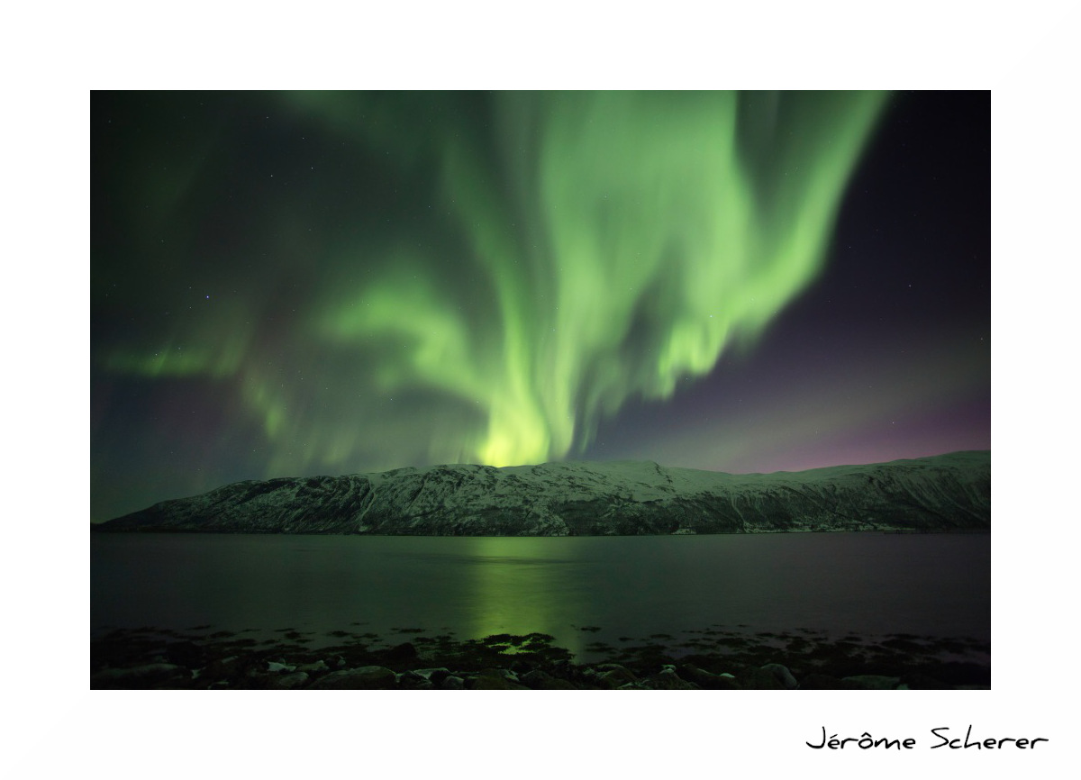 Aurore 3